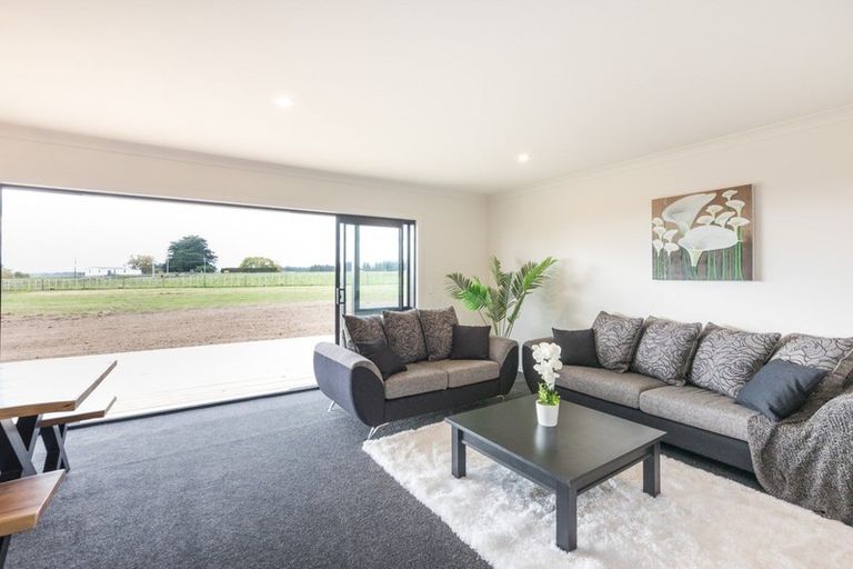 Photo of property in 1298 Taonui Road, Colyton, Feilding, 4775
