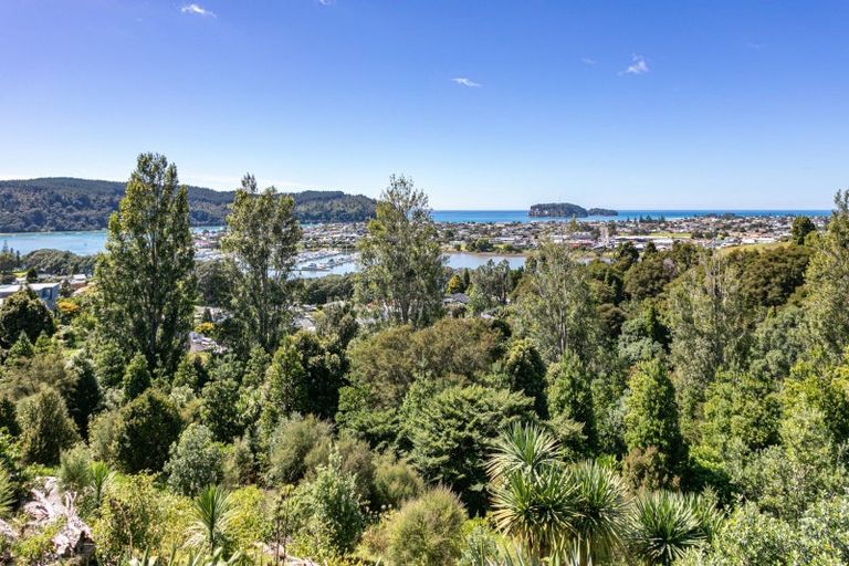 Photo of property in 111 Te Pamahue Drive, Whangamata, 3620