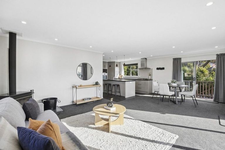 Photo of property in 62 Puketai Street, Andersons Bay, Dunedin, 9013