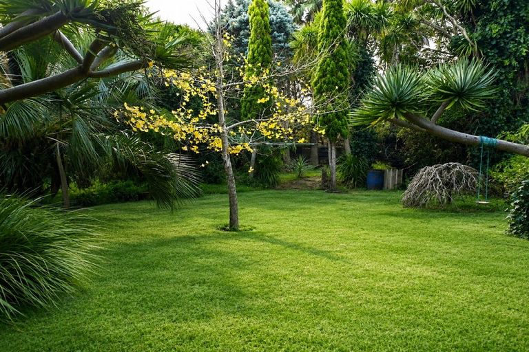 Photo of property in 1 Bluewater Place, Wattle Downs, Auckland, 2103