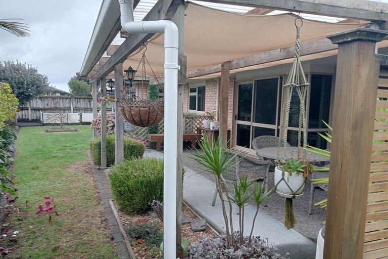 Photo of property in 12 Twickenham Close, Katikati, 3129