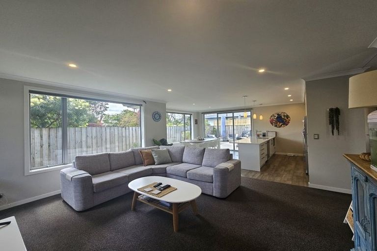 Photo of property in 50c Sixteenth Avenue, Tauranga South, Tauranga, 3112