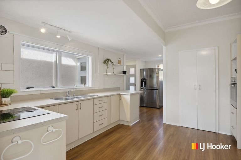 Photo of property in 37 Birchfield Avenue, North East Valley, Dunedin, 9010