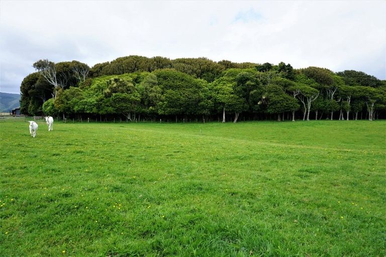 Photo of property in 207 Takapu Road, Manakau, Levin, 5573