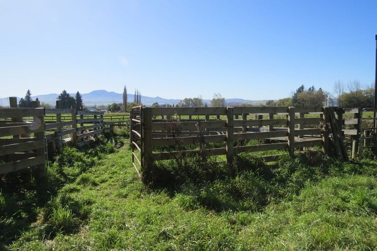 Photo of property in 141 Nixons Road, Fairlie, 7987