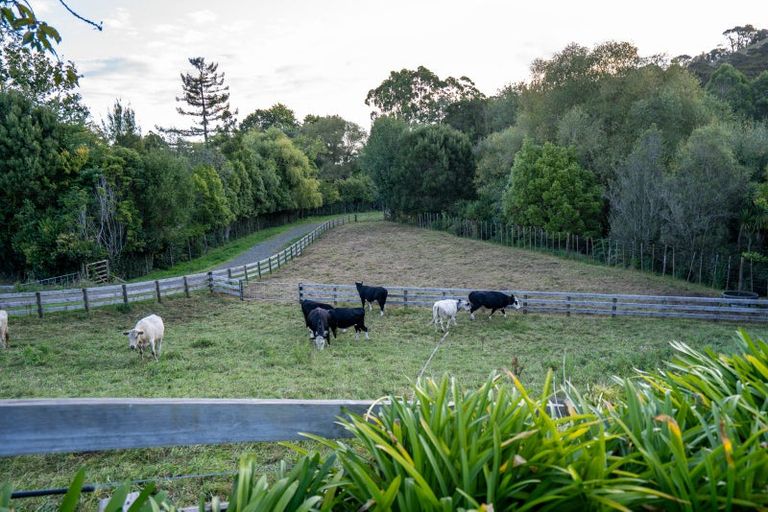Photo of property in 443 Scotsman Valley Road, Tauwhare, Morrinsville, 3371