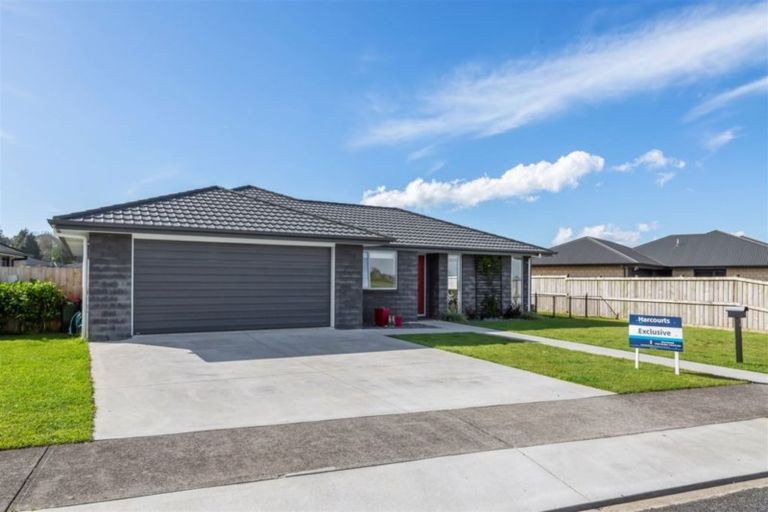 Photo of property in 14 Mercade Close, Stratford, 4332