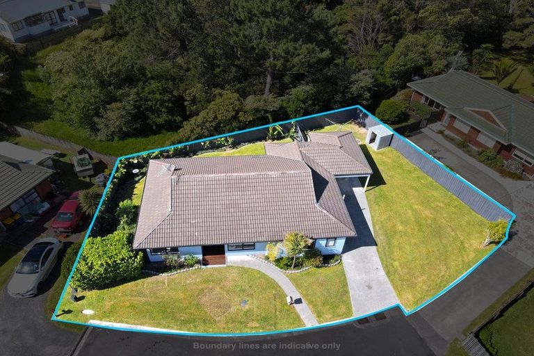 Photo of property in 9 Wyatt Place, Glendene, Auckland, 0602