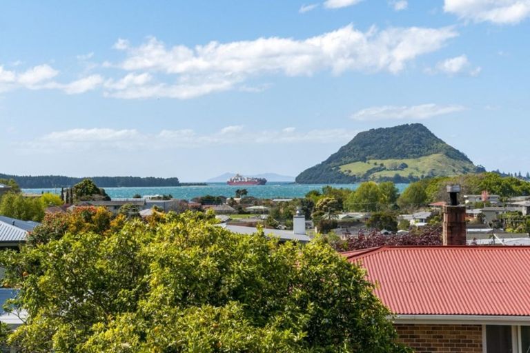 Photo of property in 19 Milton Road, Otumoetai, Tauranga, 3110