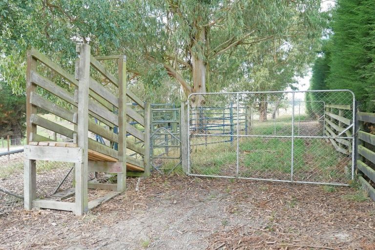 Photo of property in 108 Brasell Road, Pareora West, Timaru, 7972