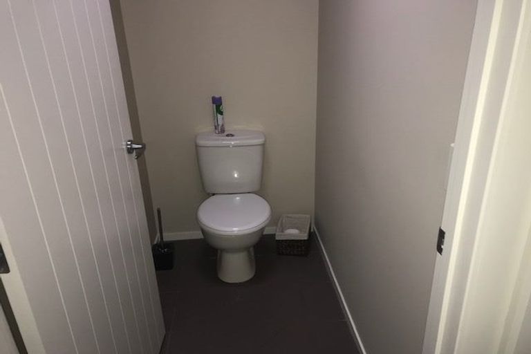 Photo of property in 45 Tuirangi Street, Flagstaff, Hamilton, 3210