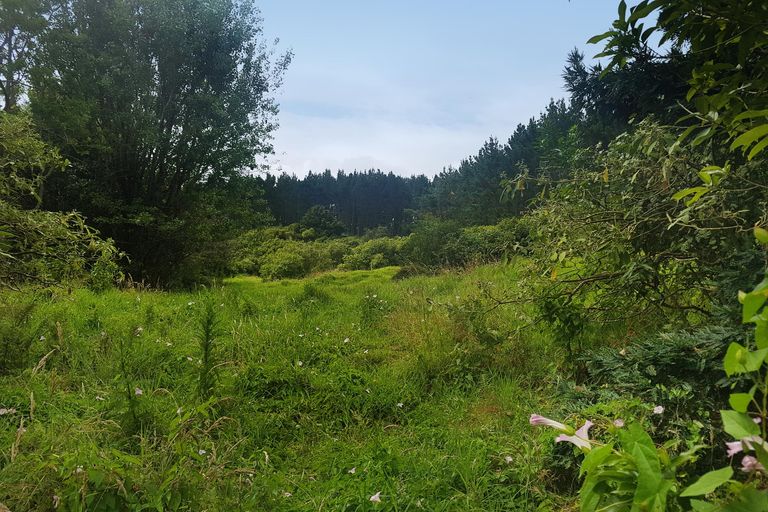 Photo of property in 914 Whakapirau Road, Whakapirau, Maungaturoto, 0583