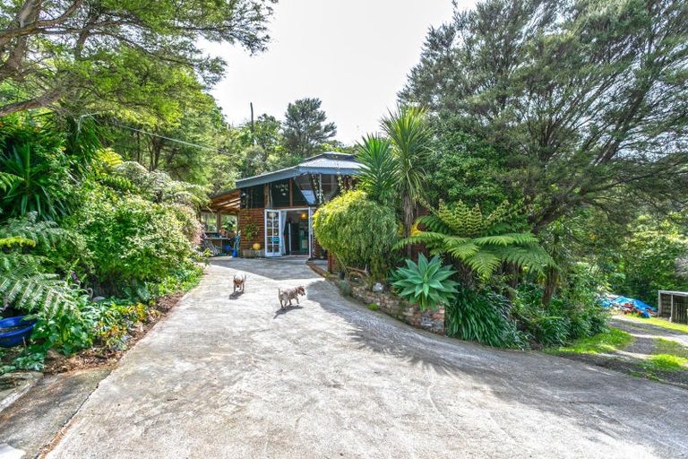 Photo of property in 119 Collarbone Road, Thames, 3500