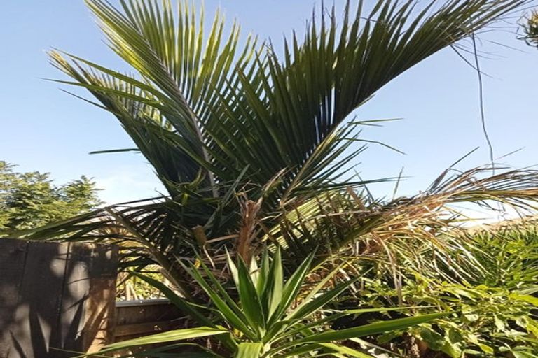 Photo of property in 40 Judea Road, Judea, Tauranga, 3110