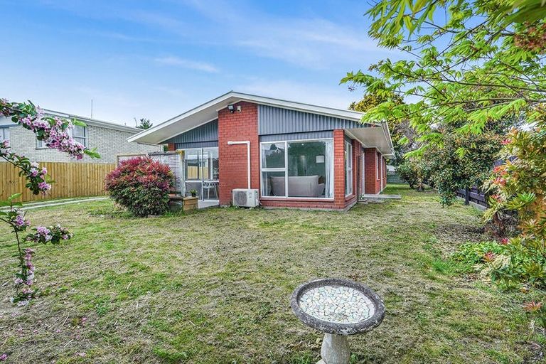 Photo of property in 10 Egmont Street, Chartwell, Hamilton, 3210