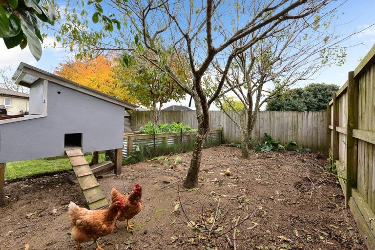 Photo of property in 51 Robinson Street, Cambridge, 3434