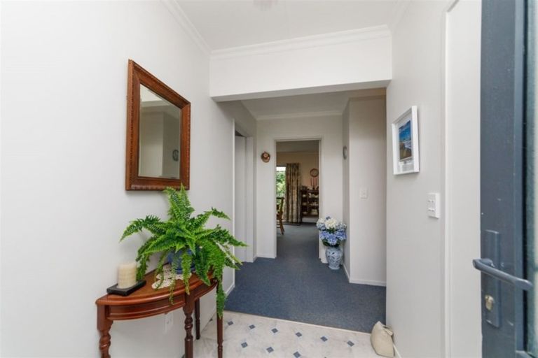 Photo of property in 101 Lincoln Street, Ashhurst, 4810