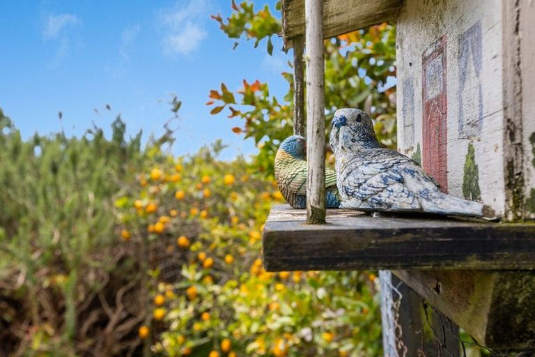 Photo of property in 181 Tukapa Street, Westown, New Plymouth, 4310