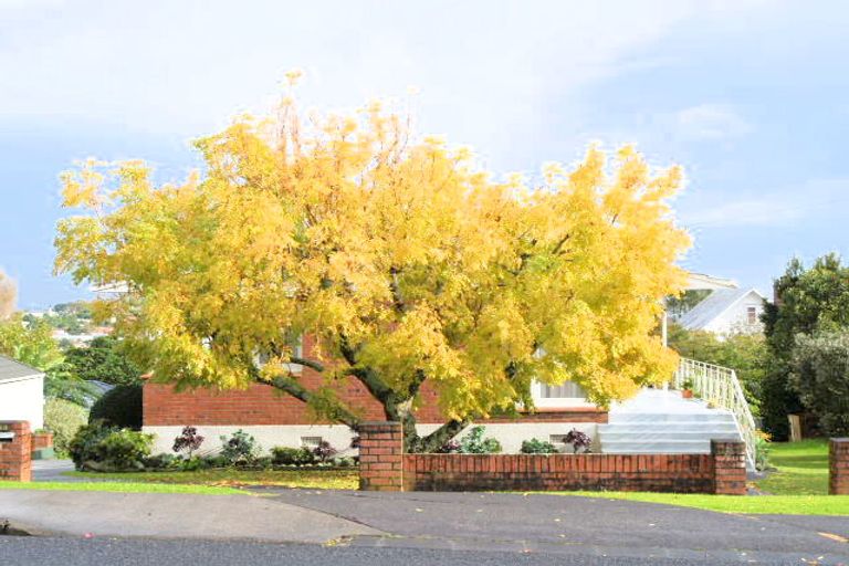 Photo of property in 123b Cook Street, Howick, Auckland, 2014