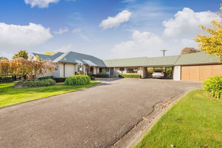 Photo of property in 125 Shirriffs Road, Awapuni, Palmerston North, 4412