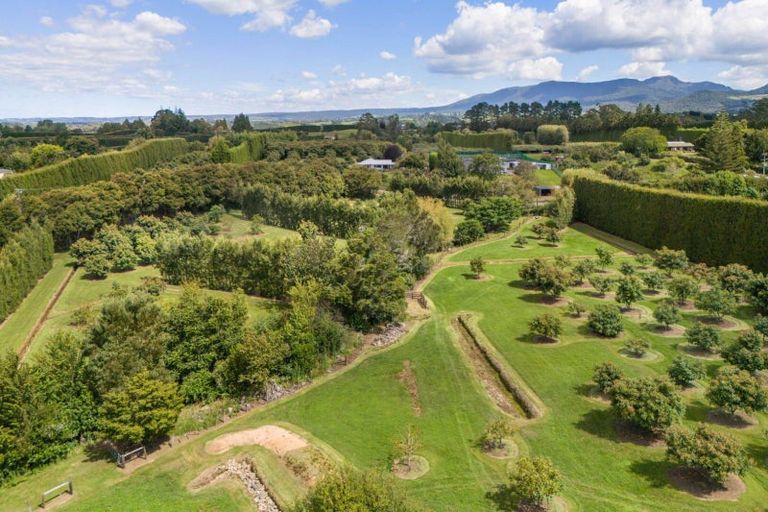 Photo of property in 63a Rea Road, Tahawai, Katikati, 3178
