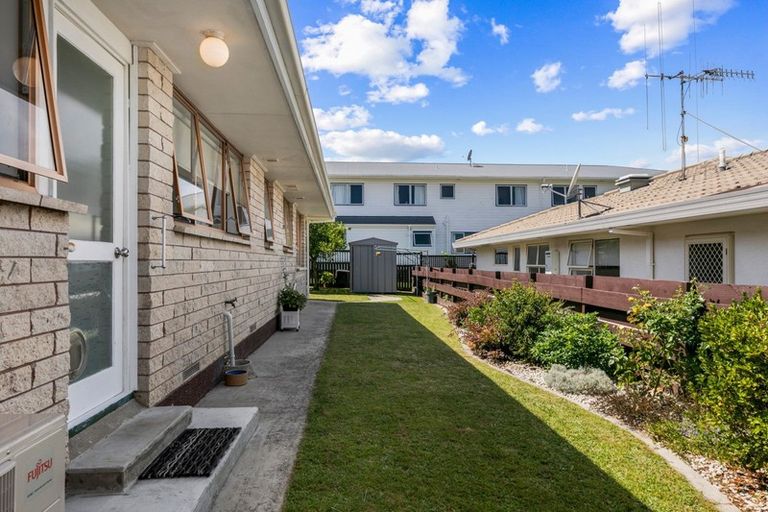 Photo of property in 115b Fourteenth Avenue, Tauranga South, Tauranga, 3112