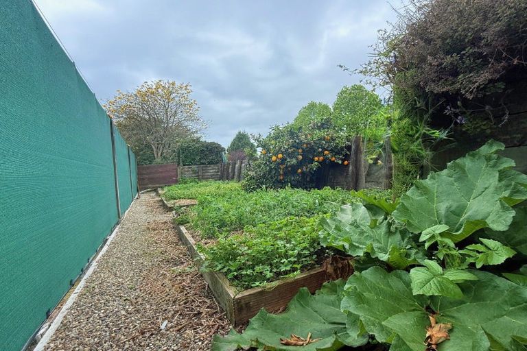 Photo of property in 154 Ohinepanea Road, Pukehina, Te Puke, 3186