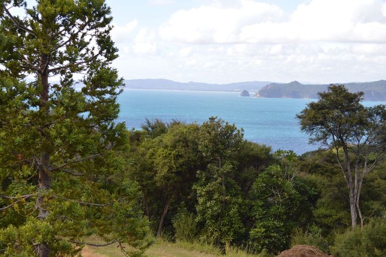 Photo of property in 3 Puriri Place, Tuateawa, Coromandel, 3583