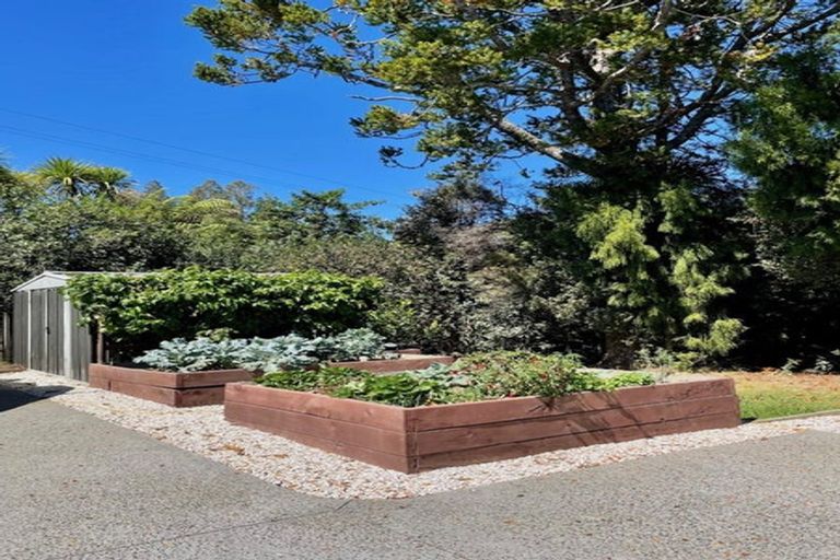 Photo of property in 46 Tender Road, Dairy Flat, Albany, 0794