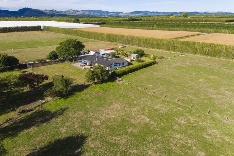 Photo of property in 156 Wharekopae Road, Patutahi, Gisborne, 4072