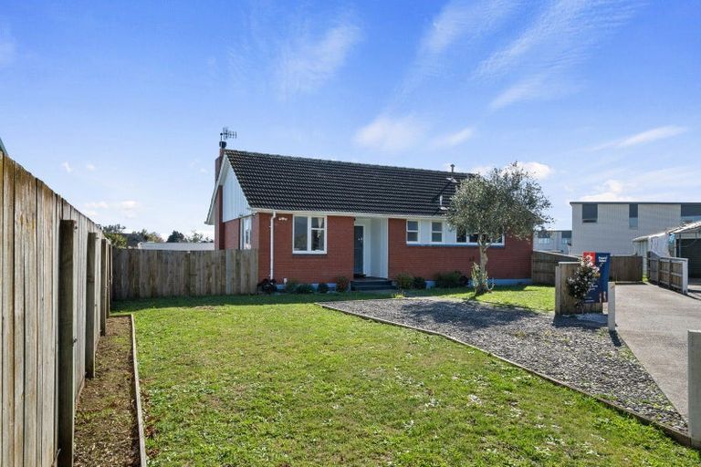 Photo of property in 41a Hinemoa Street, Levin, 5510