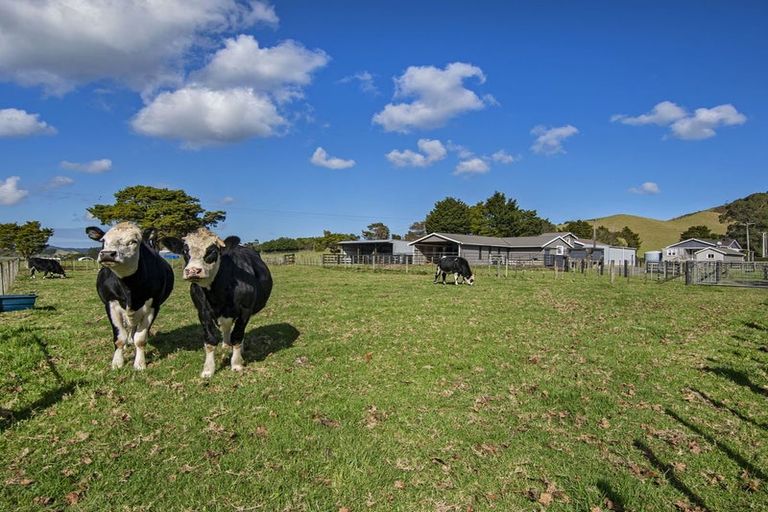 Photo of property in 243 Harris Road, Glenbervie, Whangarei, 0175