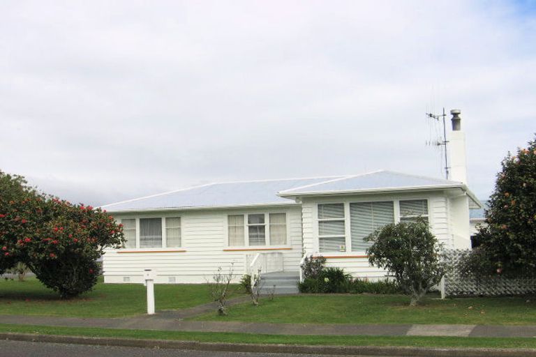 Photo of property in 9 Collingwood Street, Levin, 5510