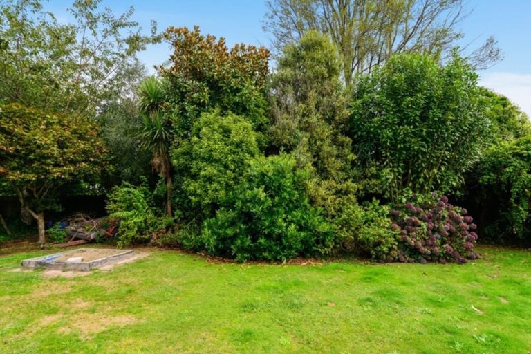 Photo of property in 49 Jervis Street, Hillcrest, Rotorua, 3015