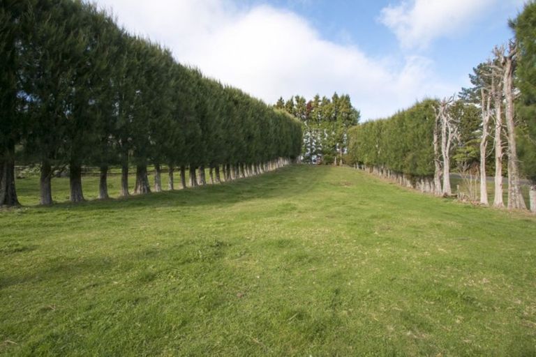 Photo of property in 294 Wharawhara Road, Tahawai, Katikati, 3178