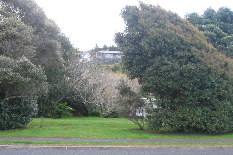Photo of property in 207 Onemana Drive, Onemana, Whangamata, 3691