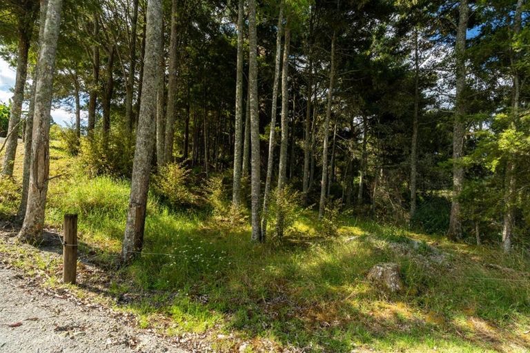 Photo of property in 115 Ruapekapeka Road, Towai, Hikurangi, 0182