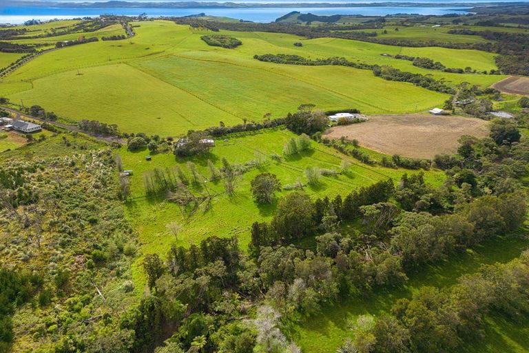 Photo of property in 118 Trig Road, South Head, Helensville, 0874