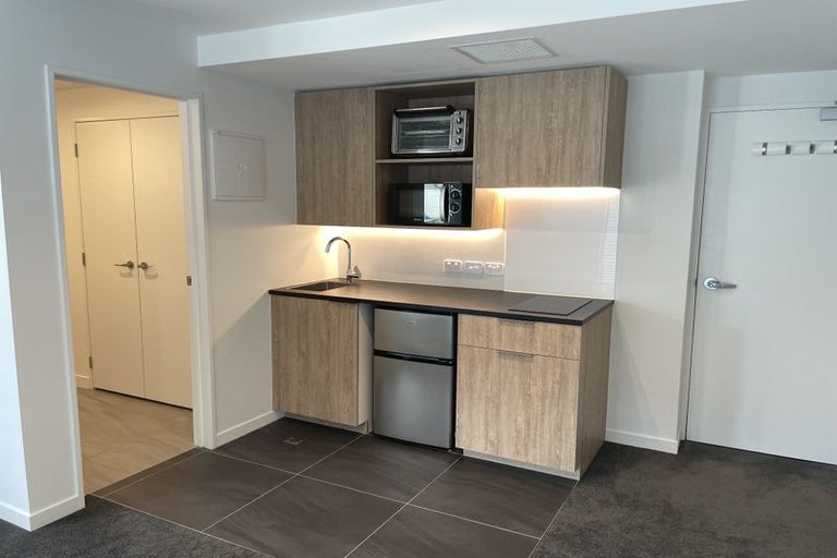 Photo of property in Pinnacle Apartments, W303/160 Victoria Street, Te Aro, Wellington, 6011