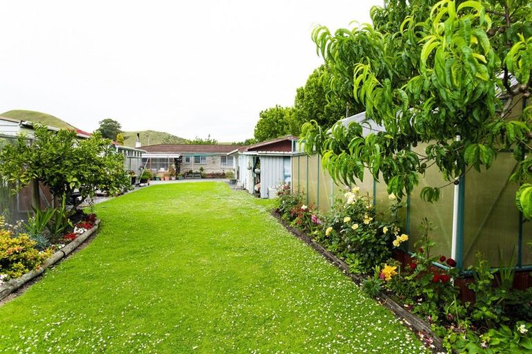 Photo of property in 14 Steele Road, Tamarau, Gisborne, 4010