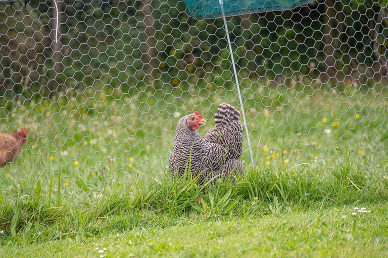 Photo of property in 22 Awatiro Drive, Kaukapakapa, 0871