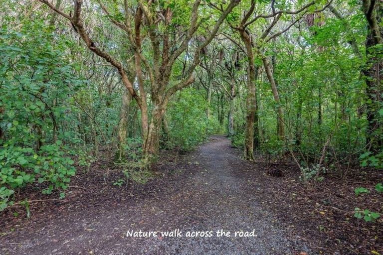 Photo of property in 90 Rimu Street, Waikanae, 5036