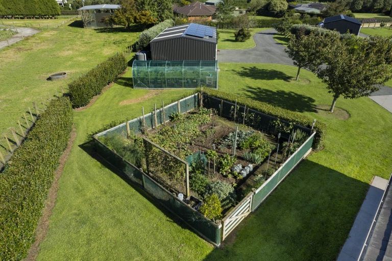 Photo of property in 423c Youngson Road, Whakamarama, Tauranga, 3179