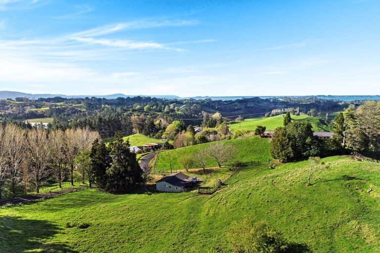 Photo of property in 163 Waipapa Block Road, Whakamarama, Tauranga, 3180