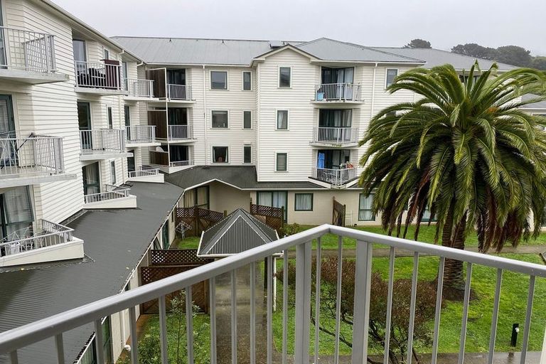 Photo of property in Palm Grove Apartments, 4/13c Palm Grove, Berhampore, Wellington, 6023