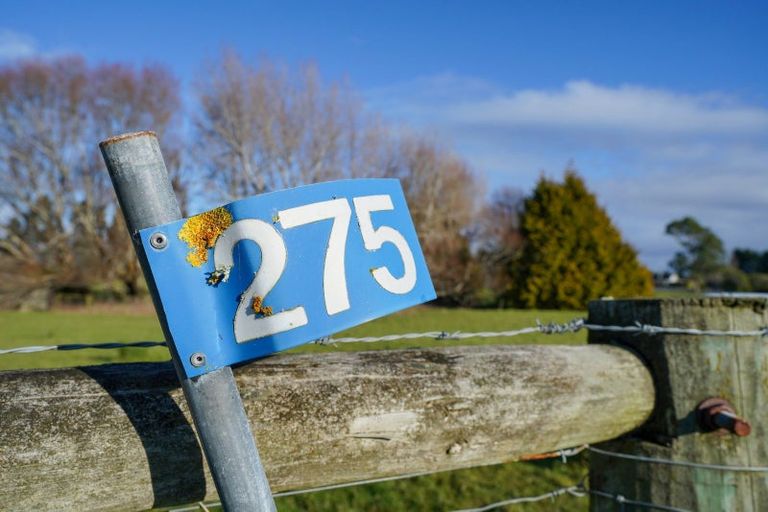 Photo of property in 275 Drysdale Road, Myross Bush, Invercargill, 9872