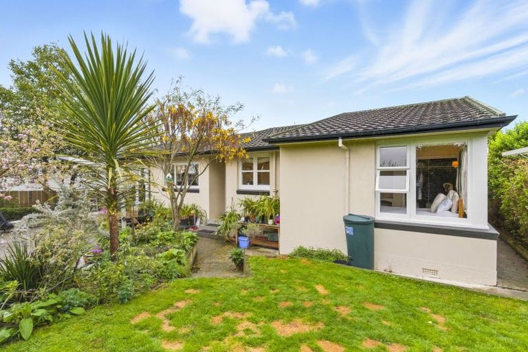 Photo of property in 79 Kawiu Road, Levin, 5510