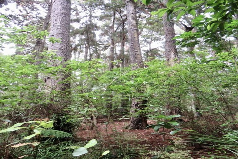 Photo of property in 504b Wairere Road, Maungaturoto, 0571