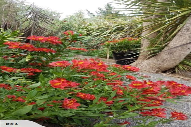 Photo of property in 801 Martinborough Masterton Road, Longbush, Masterton, 5884