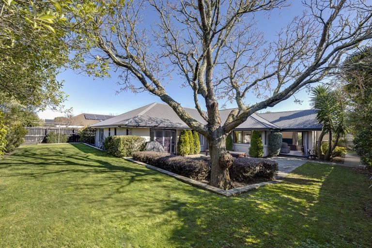 Photo of property in 11 Antoine Grove, Richmond, 7020